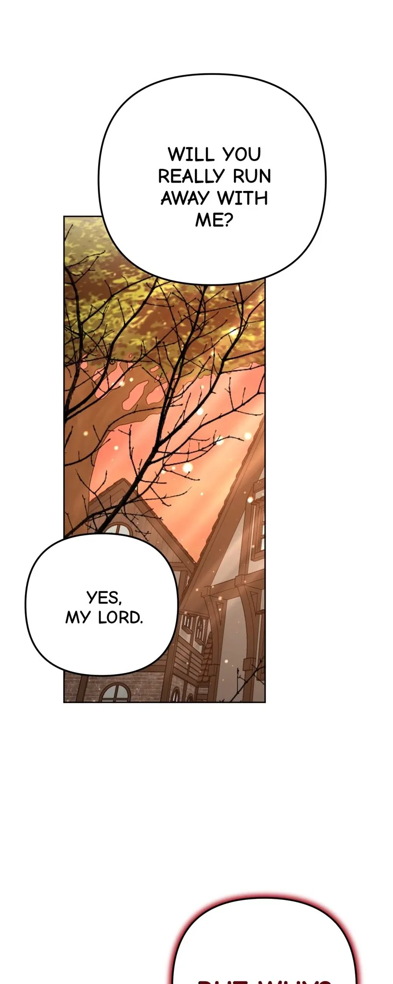 48102018 800 2000 66086